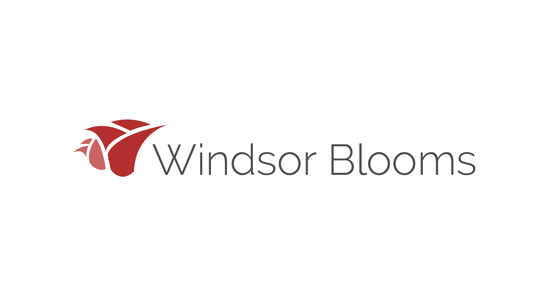 Windsor Blooms